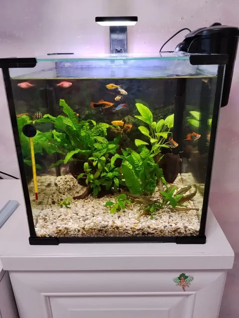 Продам аквариум с рыбками, тумбой и всем содержимым - Животные в Нижневартовск