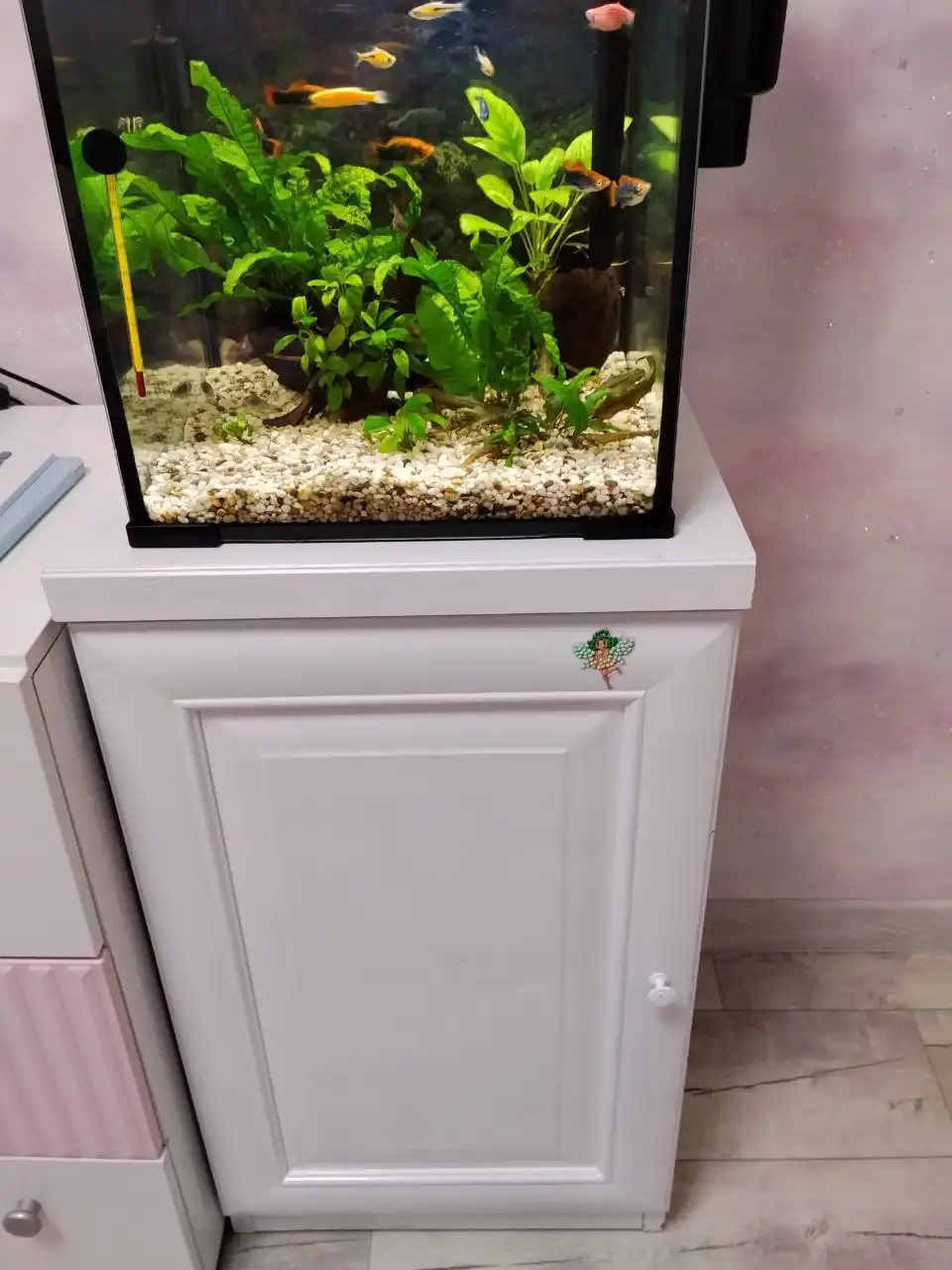 Продам аквариум с рыбками, тумбой и всем содержимым - Аквариумистика (Животные) в Нижневартовск