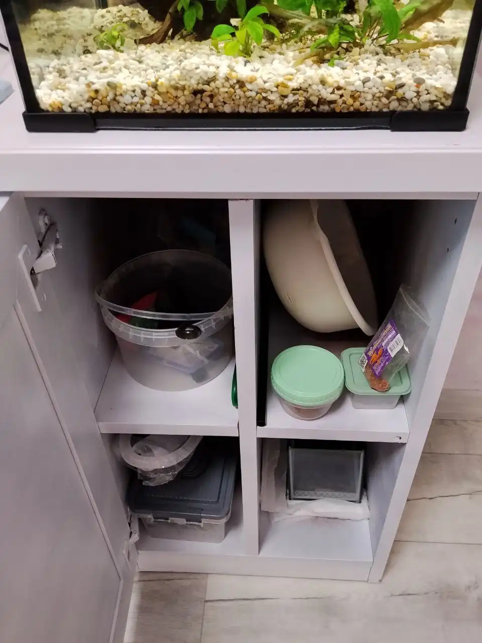 Продам аквариум с рыбками, тумбой и всем содержимым - Аквариумистика (Животные) в Нижневартовск