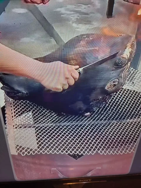 Бычья голова с языком на заказ - Продукты питания в Нижневартовск