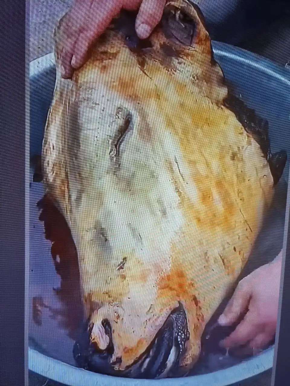 Бычья голова с языком на заказ - Барахолка в Нижневартовск