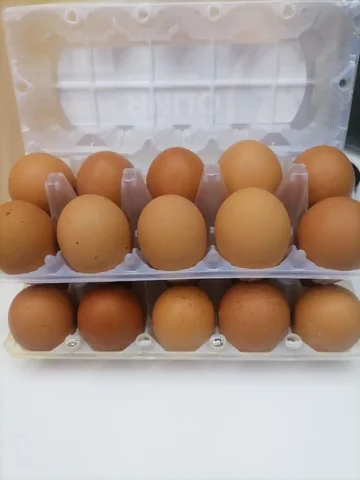 Продажа домашних куриных яиц - Краска в Нижневартовск