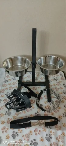 Комплект товаров для собак: миски, ошейник, ремень безопасности, намордник - Сладости в Нижневартовск