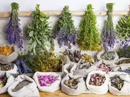 Продажа домашних сушеных трав - Продукты питания/Травы (Барахолка) в Нижневартовск