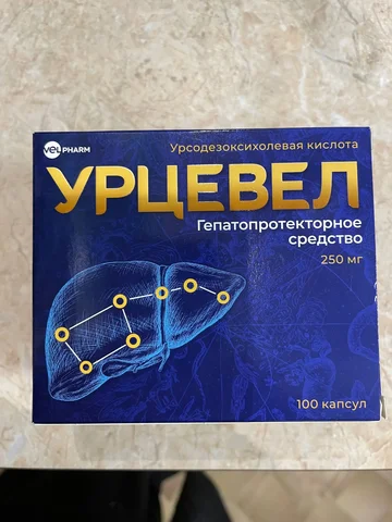 Гепапротекторное средство 250 мг, 100 капсул - Массаж в Нижневартовск