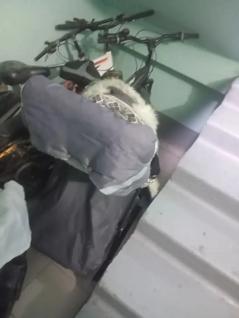 Санки-коляска в идеальном состоянии - Детские санки/коляски (Товары для детей) в Нижневартовск