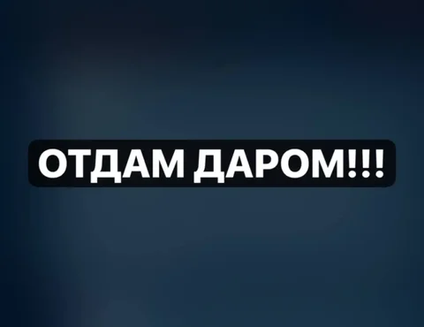 Отдам даром мебель, технику и вещи при переезде - частное объявление в Нижневартовск