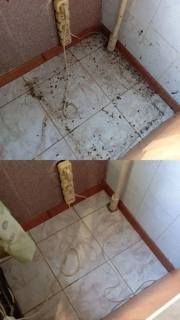 Услуги клининговой компании Чисто 5+ - Клининговые услуги в Королев