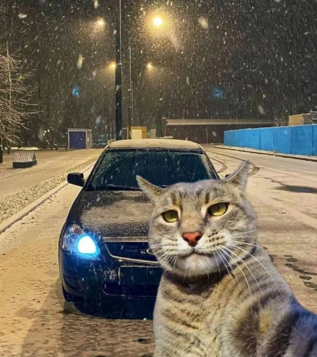 Продажа Лада Приора 2008 года - Легковые автомобили (Авто) в Саранск