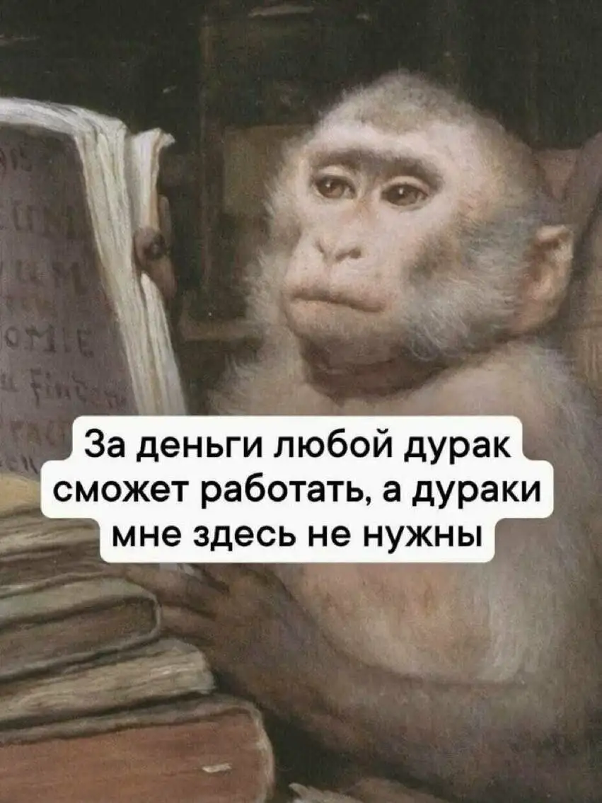 Услуги высокоинтеллектуальных специалистов - Услуги в Неизвестно