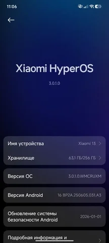 Xiaomi 13 12/256 Глобальная версия в идеальном состоянии с комплектом - Кабели и адаптеры в Нижний Новгород