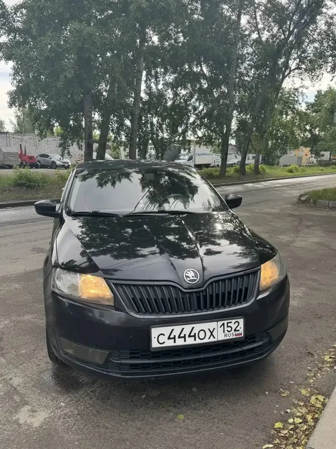 Skoda Rapid 2014 - Автоаксессуары в Нижний Новгород