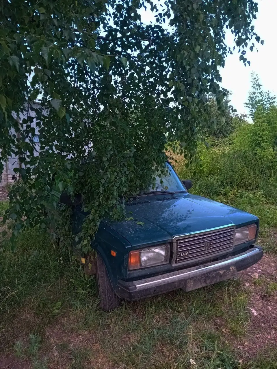 Продажа или обмен ВАЗ 2110 - Легковые автомобили (Авто) в лысково
