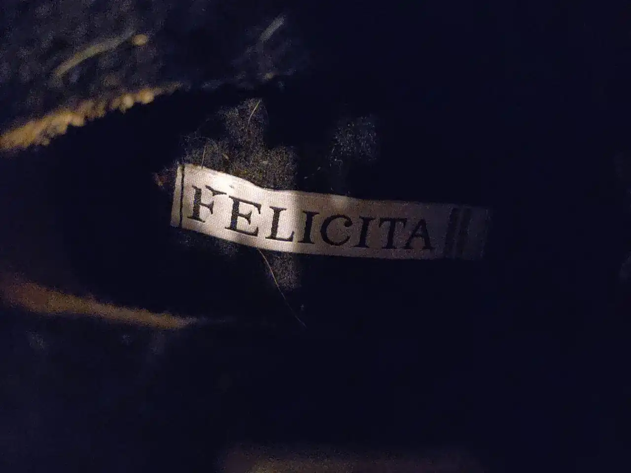 Женские ботинки Felicita из натуральной кожи размер 40