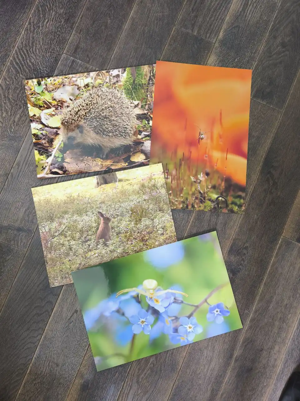 Продажа фотографий формата А3 - Фотографии (Хобби и отдых) в Химки