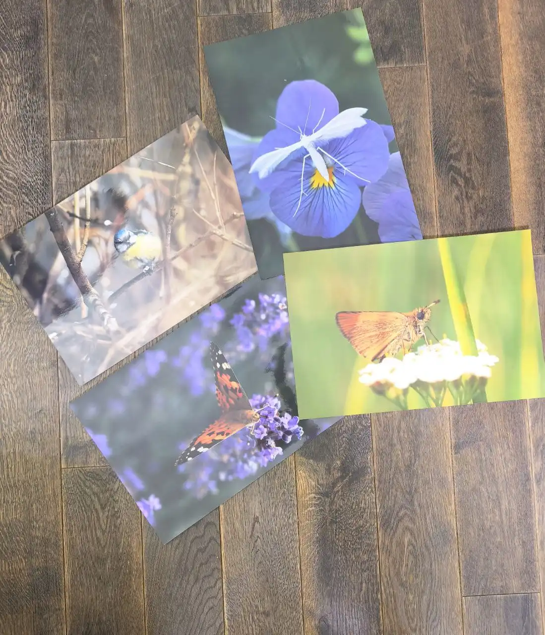 Продажа фотографий формата А3 - Фотографии (Хобби и отдых) в Химки