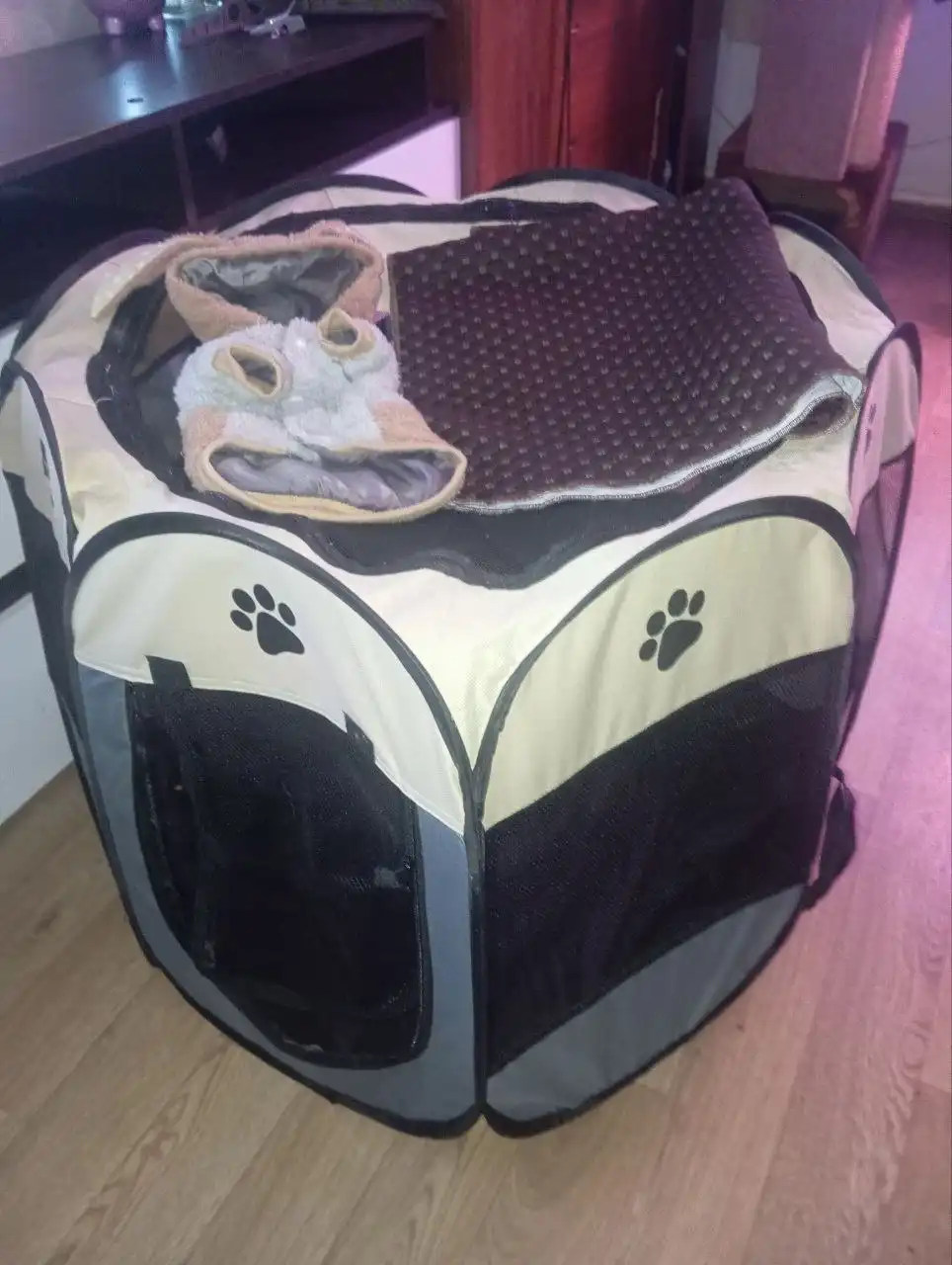 Манеж для щенка с подарками - Товары для животных (Животные) в Химки