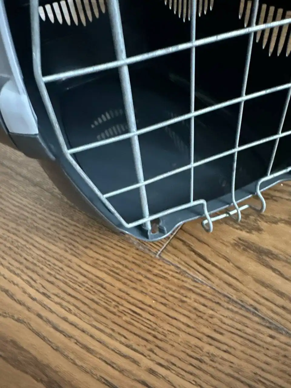 Переноска и глистогонное для котика - Для кошек (Животные) в Химки