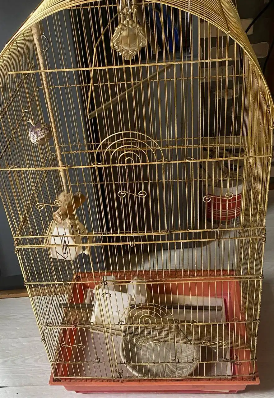 Продам клетку для попугаев