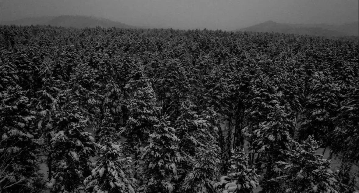 Выживание в тайге при -40 градусов