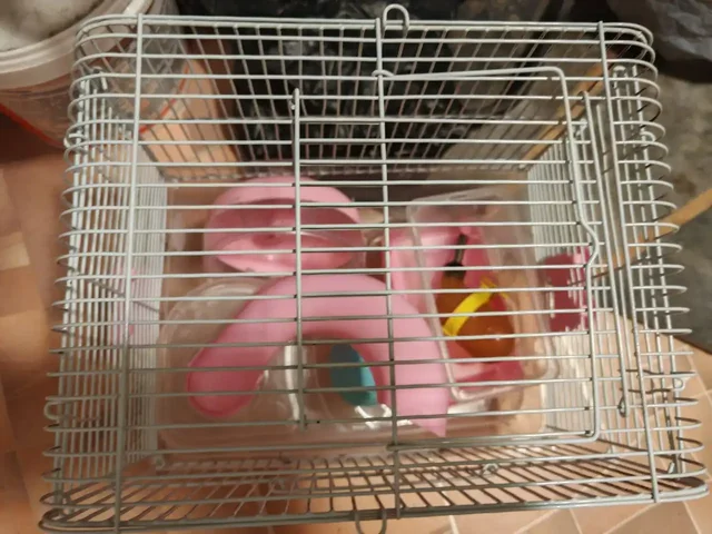 Клетка для мелких грызунов в отличном состоянии - частное объявление в Владивосток