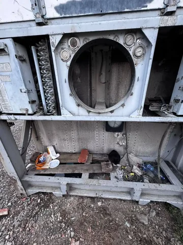 Котенок нуждается в доме на Русском острове - Животные в Владивосток