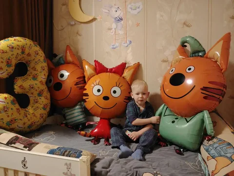 Шары три кота - DVD диски в Владивосток