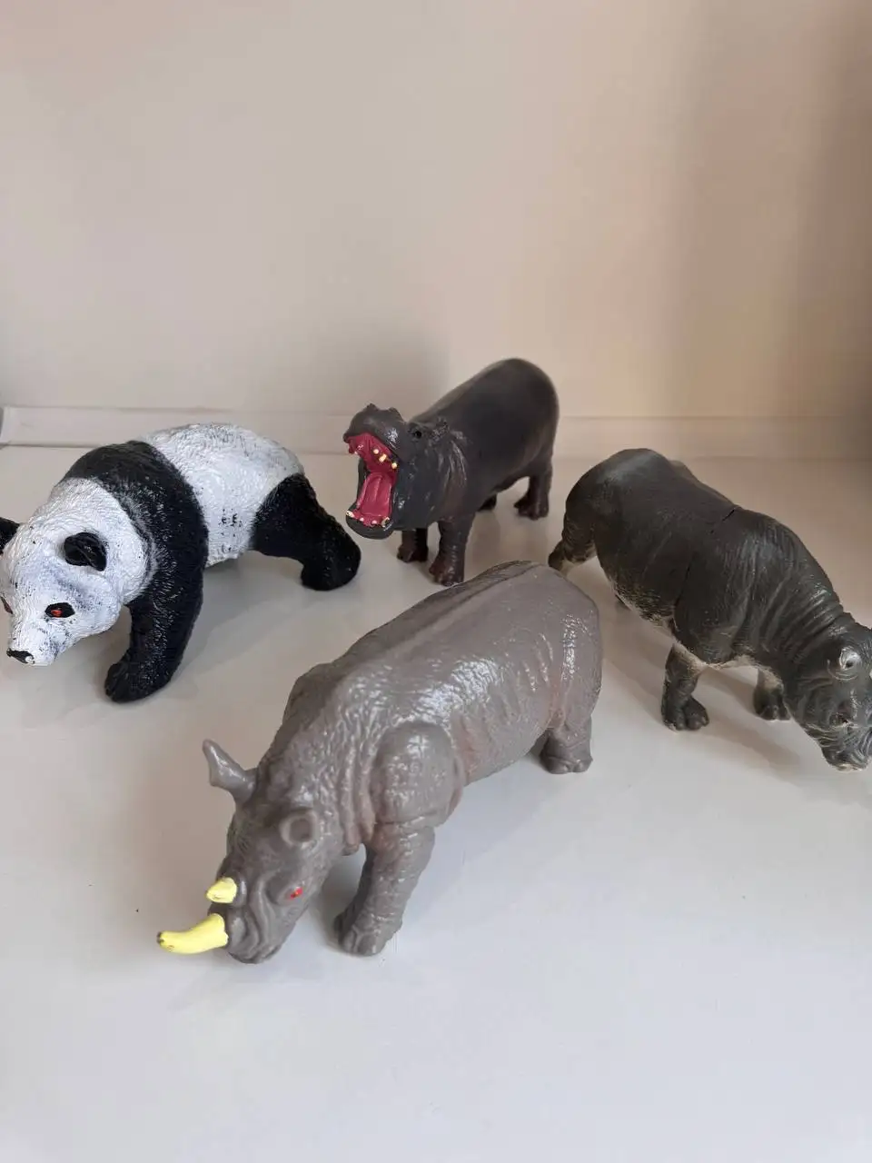 Продажа экзотических животных: панда, бегемот, носороги - Экзотические животные (Животные) в Владивосток