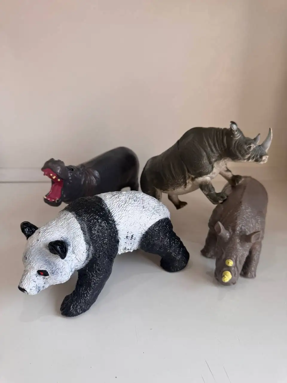 Продажа экзотических животных: панда, бегемот, носороги - Экзотические животные (Животные) в Владивосток