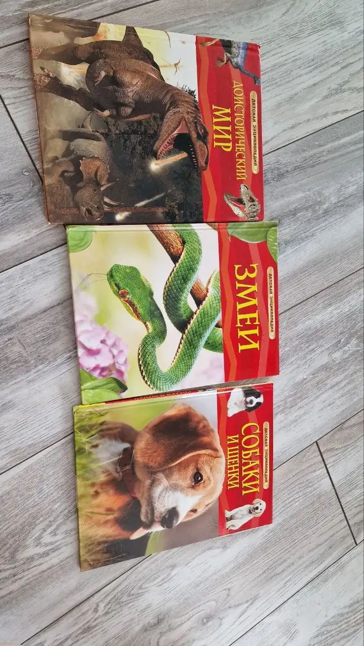 Продам детские книги - Книги (Товары для детей) в Владивосток