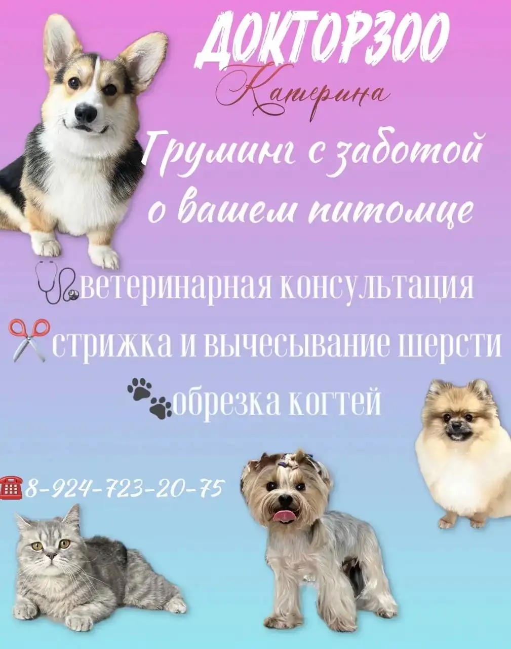 Стрижка и уход за питомцами - Уход за домашними питомцами (Услуги) в Уссурийск