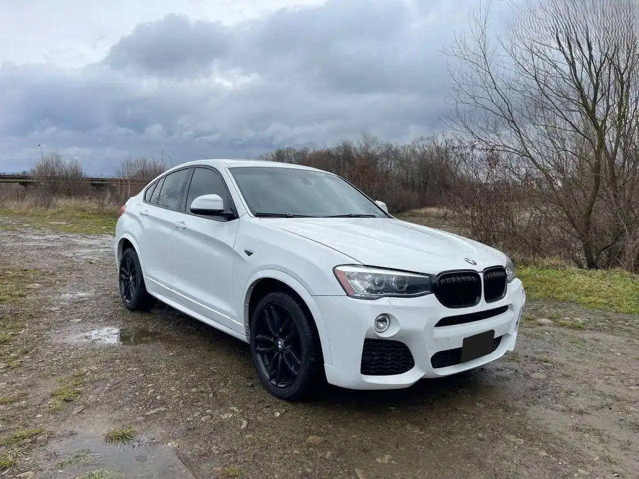 BMW X4 F26 Белый