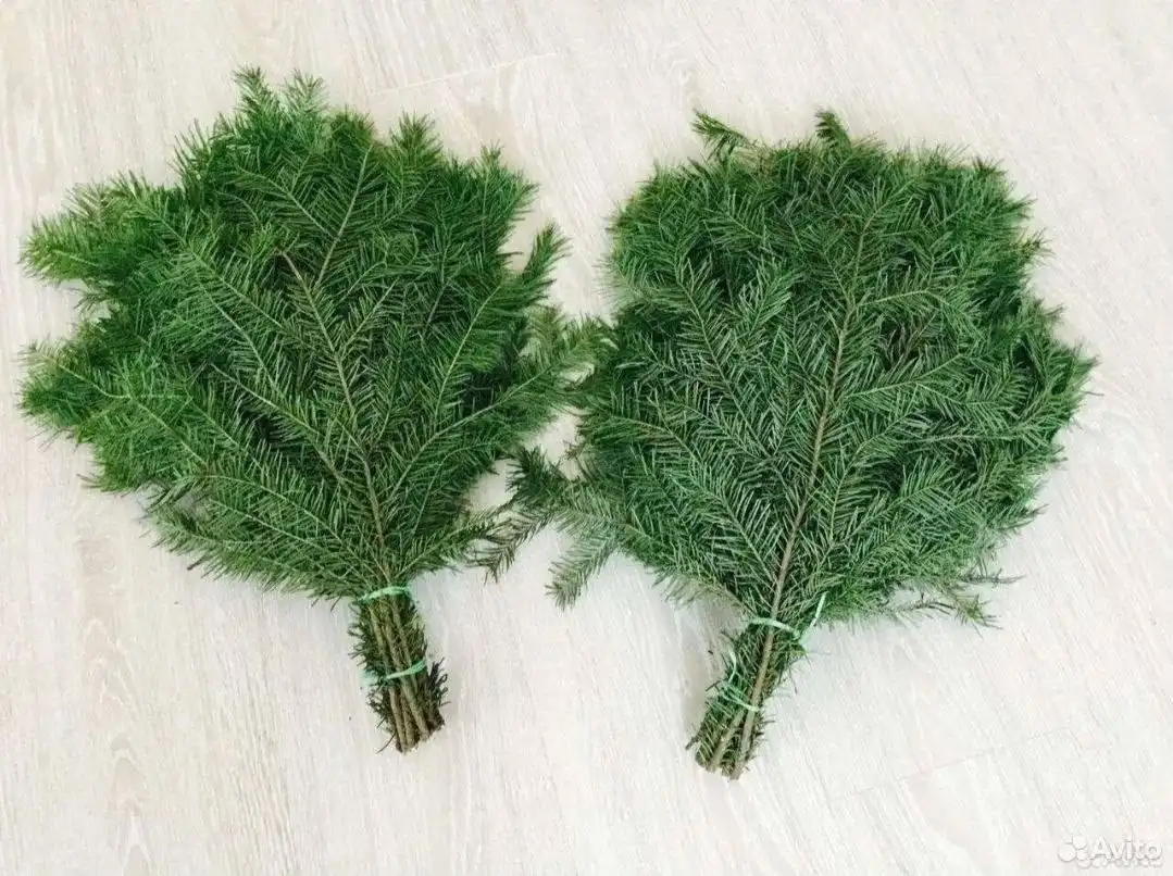 Веники для бани и квартиры