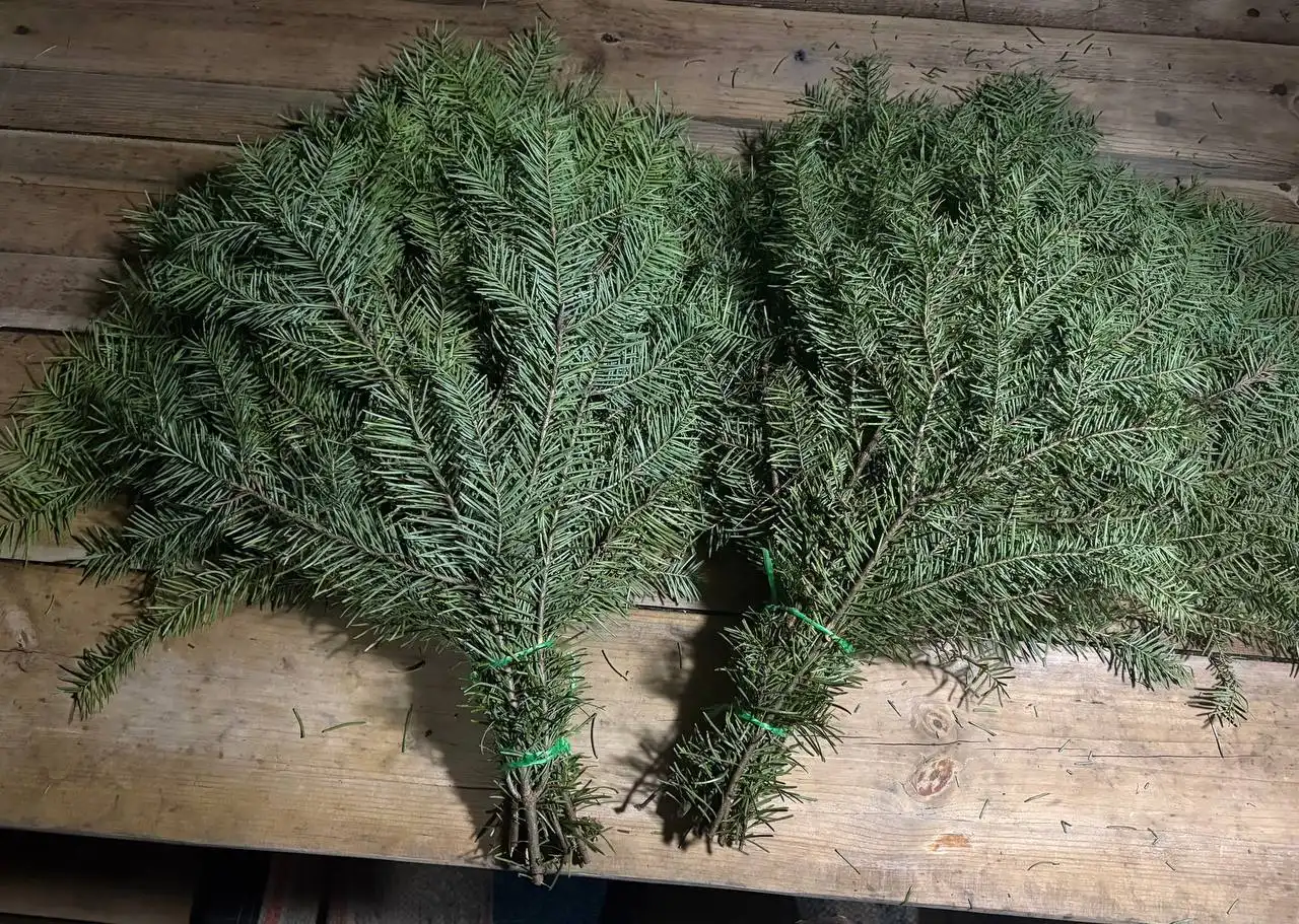 Веники для бани и квартиры