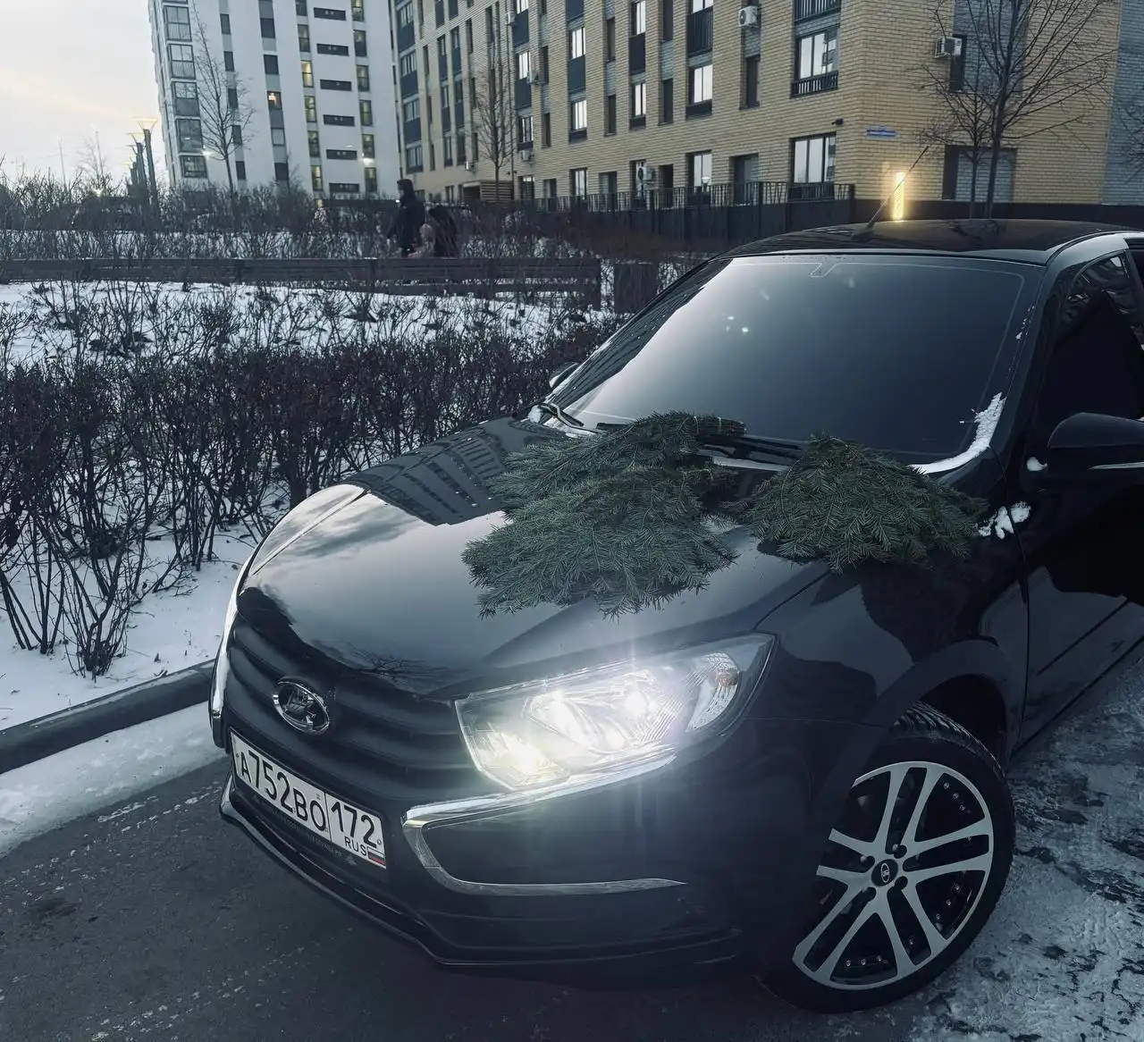 Веники для бани и квартиры