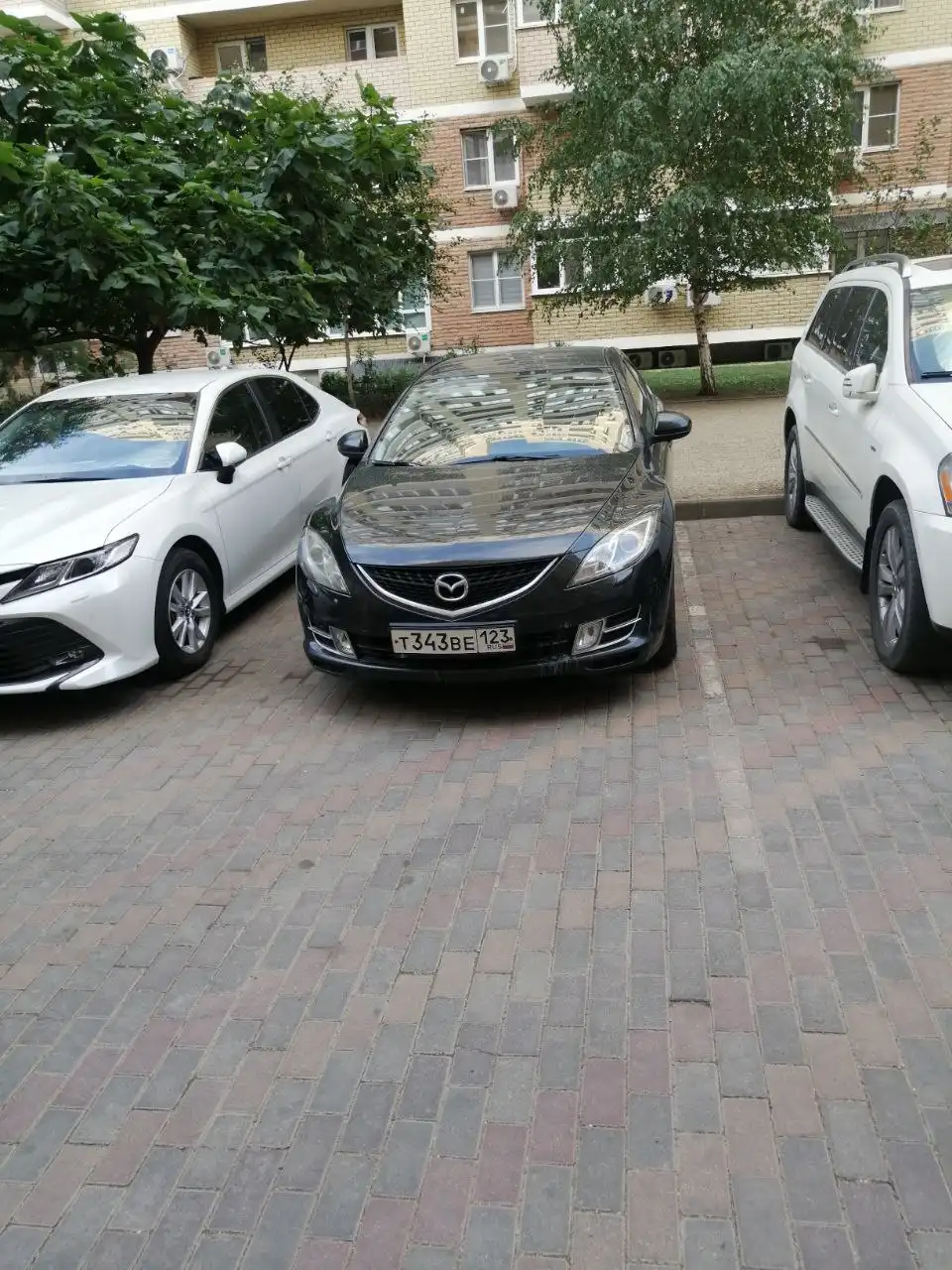 Продажа госномера Т343ВЕ1