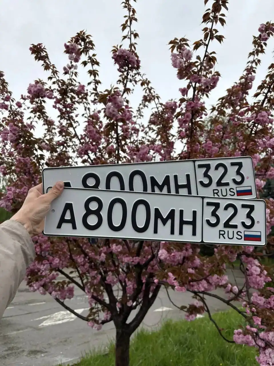 Продажа госномеров (3 шт.) - А800МО, А800МН323 - Госномера (Госномера) в Краснодар