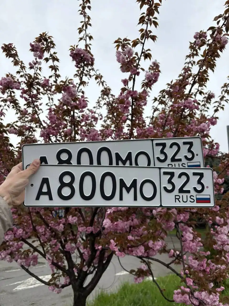Продажа госномеров (3 шт.) - А800МО, А800МН323 - Госномера (Госномера) в Краснодар