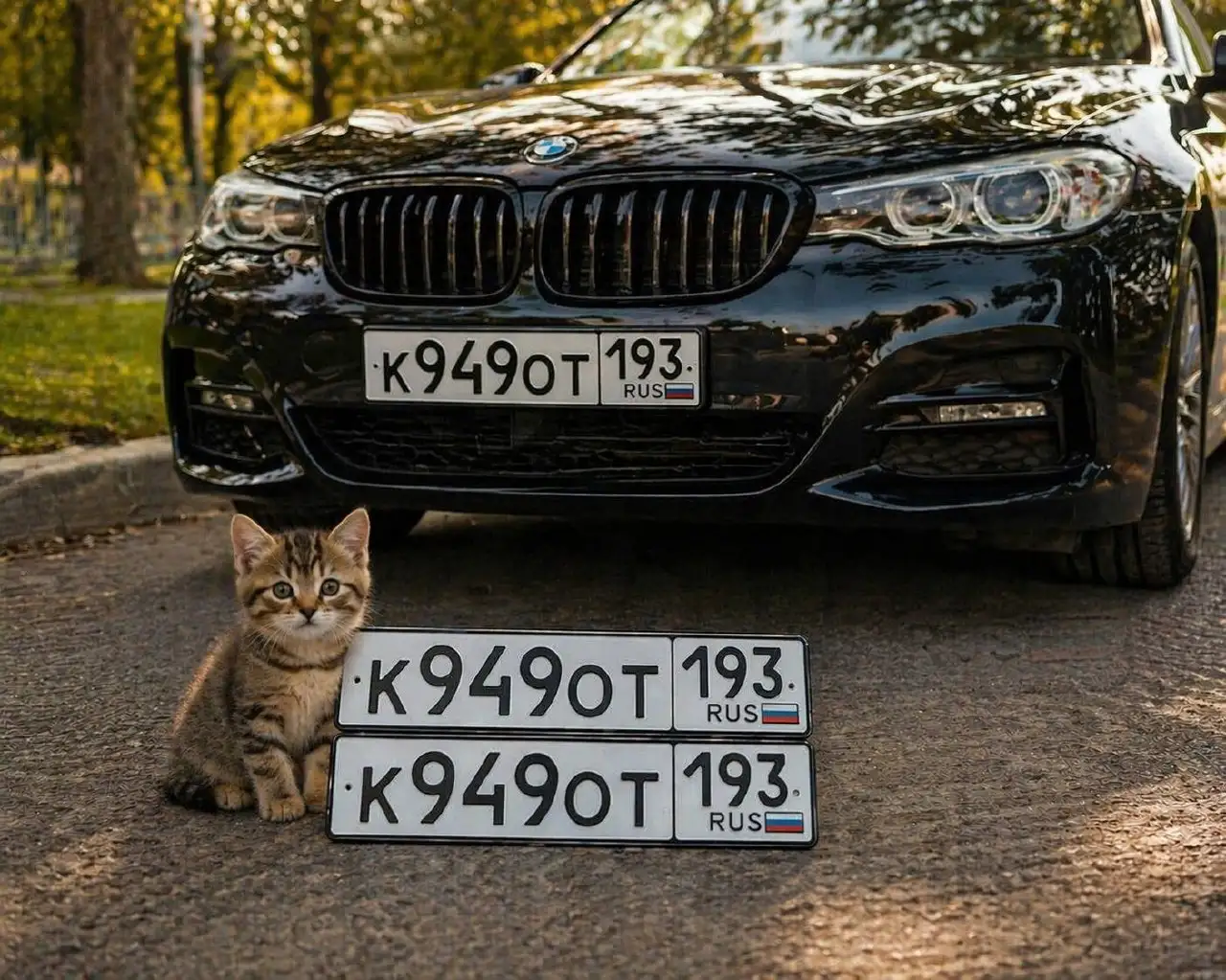 Госномера на автомобиль. Кот193 - Госномера (Авто) в Краснодар