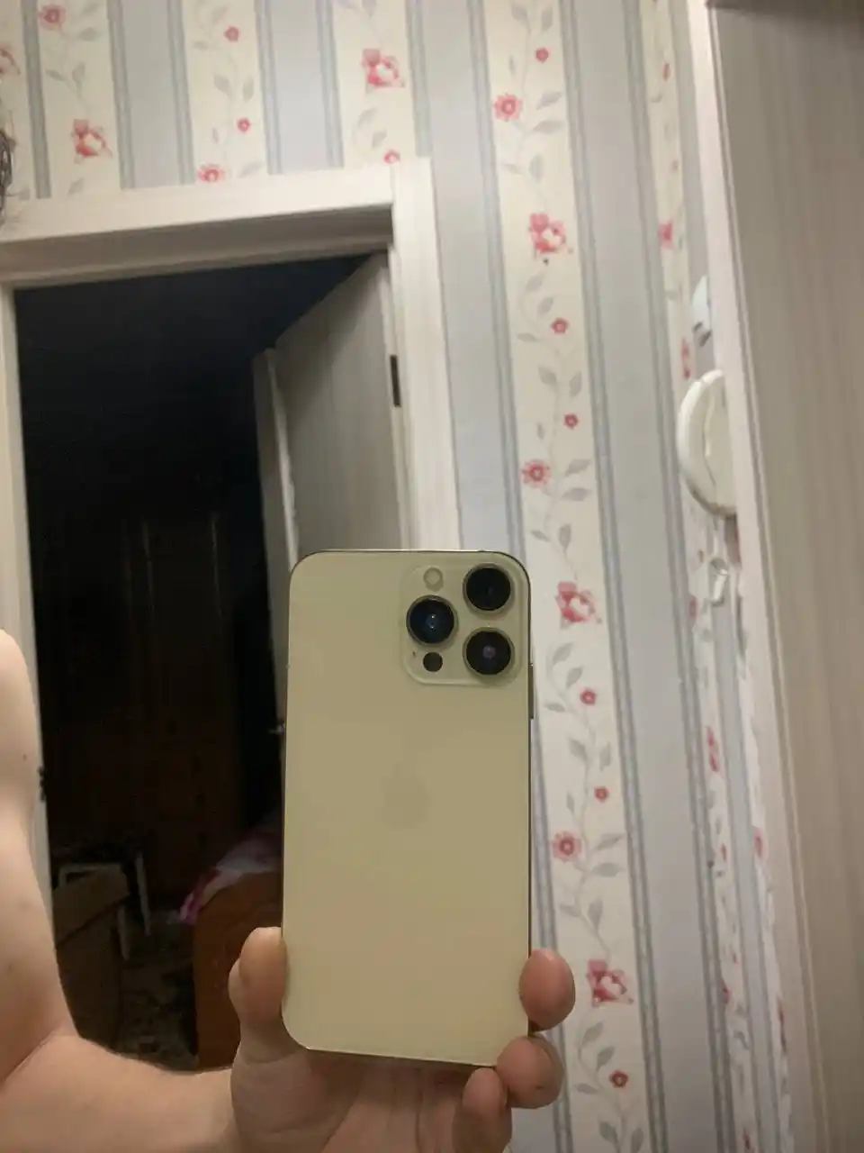 iPhone Xr в корпусе 13 про мах