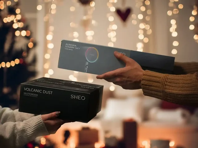 Мультигрум и фен SHEO в DNS: подарок на Новый год - частное объявление в Саранск