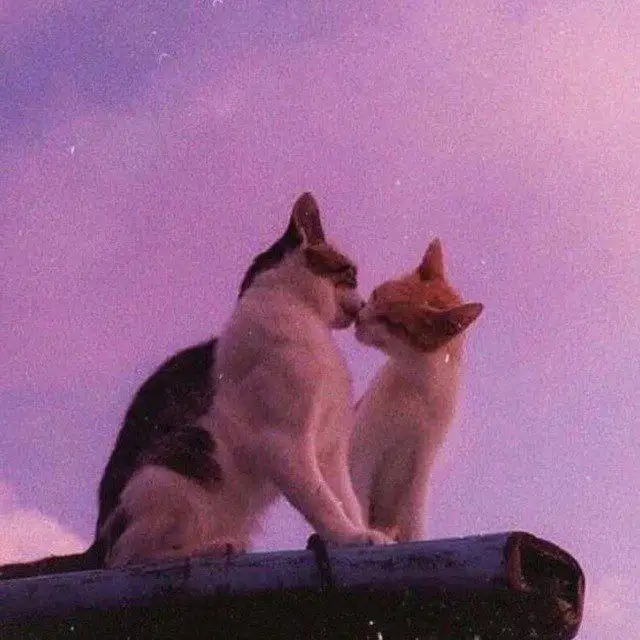 Apple Барахолка Саранск - Apple (Электроника) в Саранск