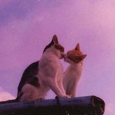 Apple Барахолка Саранск - Электроника в Саранск