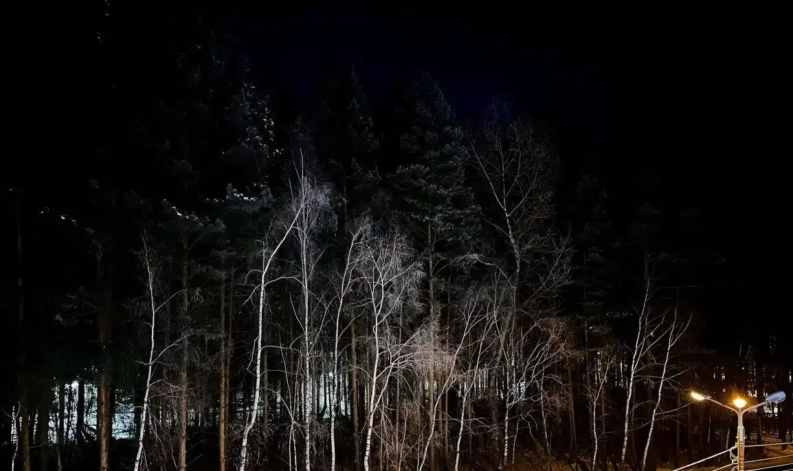 Двухкомнатная квартира в Академгородке Красноярска