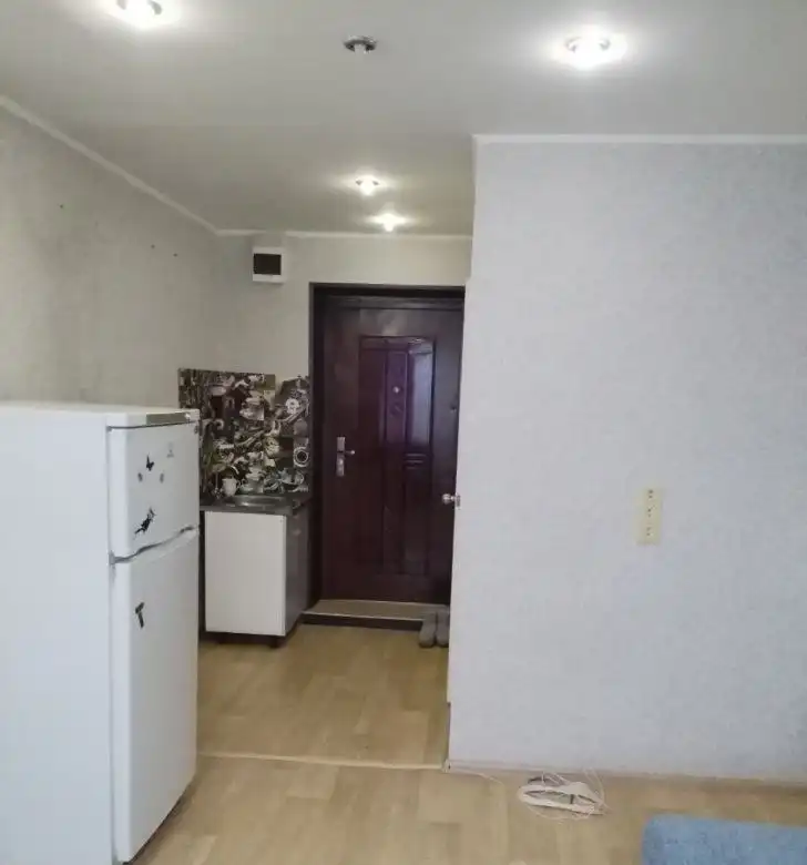 Аренда однокомнатной квартиры в Свердловском районе Красноярска - Аренда квартир (Недвижимость) в Красноярск