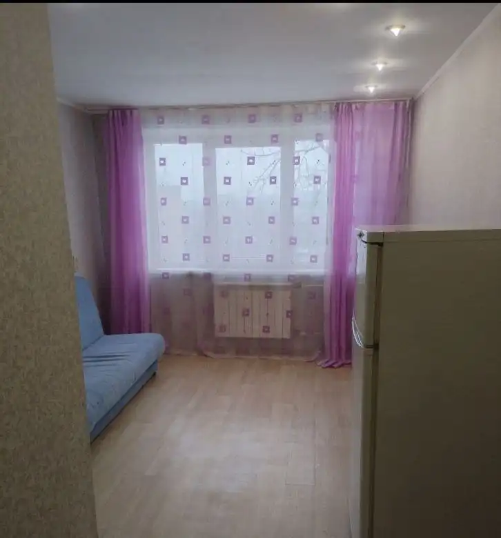 Аренда однокомнатной квартиры в Свердловском районе Красноярска - Аренда квартир (Недвижимость) в Красноярск