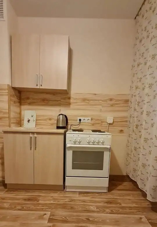 Аренда однокомнатной квартиры в Красноярске на Дубровинского 110Б - Аренда квартир (Недвижимость) в Красноярск