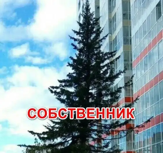 Сдается однокомнатная квартира в новом доме на Лесопарковой 33 - Аренда квартир (Недвижимость) в Красноярск