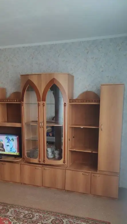 Сдается однокомнатная квартира на ул. Молокова 29 - Аренда квартир (Недвижимость) в Красноярск