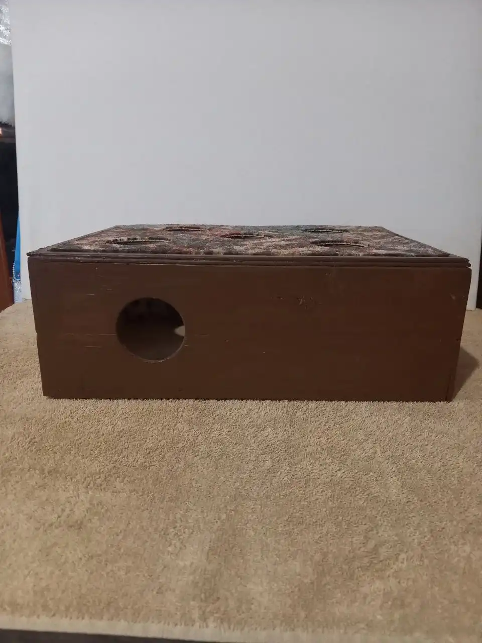 Продаётся бильярд для котов